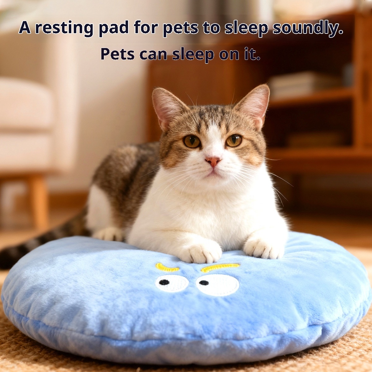 Cute Expression Plush Pet Cushion | Soft Comfort Bed | Wholesale Pet Supplies