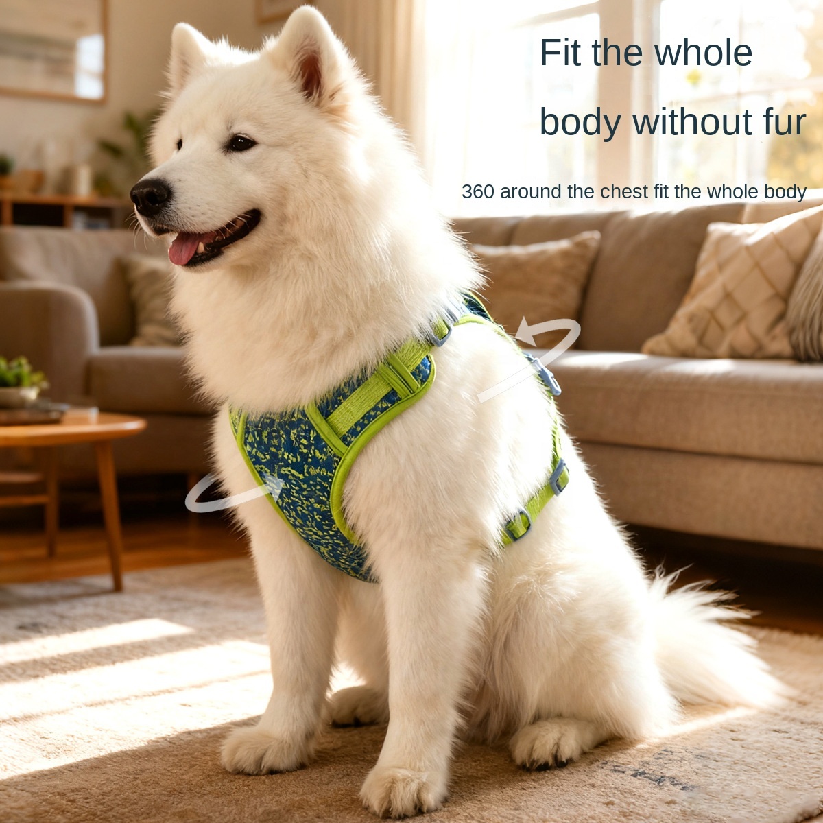 Breathable Mesh Dog Harness | 3-Color Options | Adjustable Pet Vest