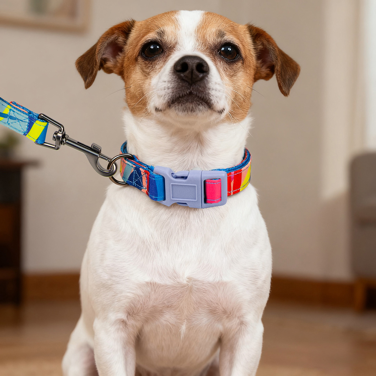 Fashion Print Luxury  Dog Collar And Leashes Set With Poop Bag Holder