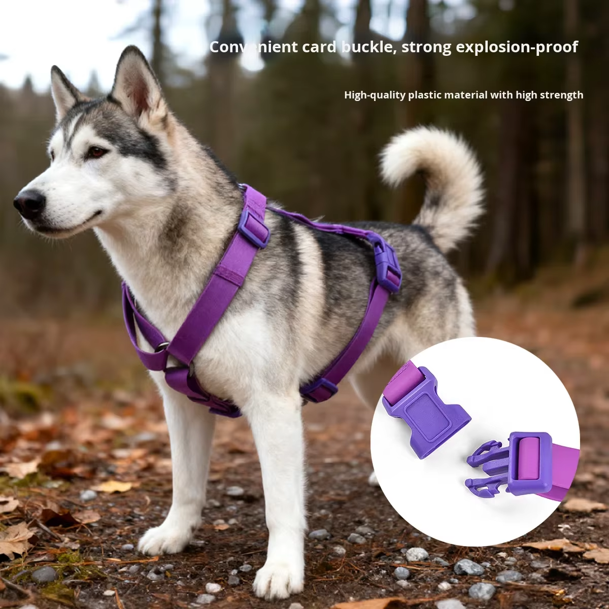 Solid Color PVC Waterproof Dog Harness | H-Back Design | Durable & Easy Clean