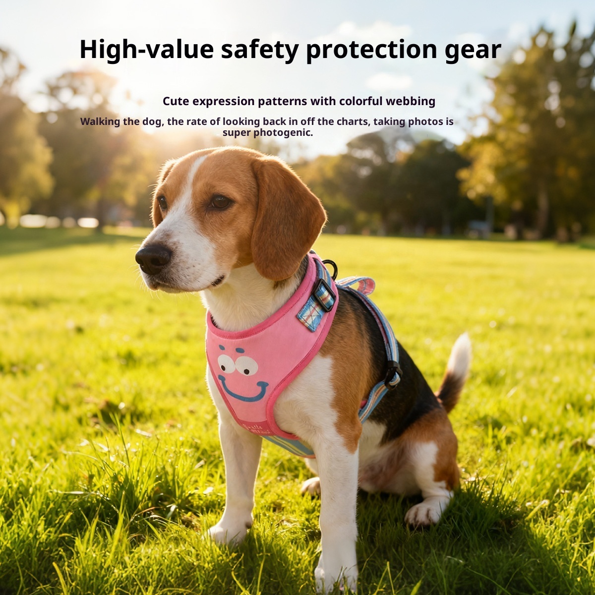 Pet Travel 4-Piece Set | Cute Expression Harness, Leash, Collar & Waste Bag Holder | Wholesale