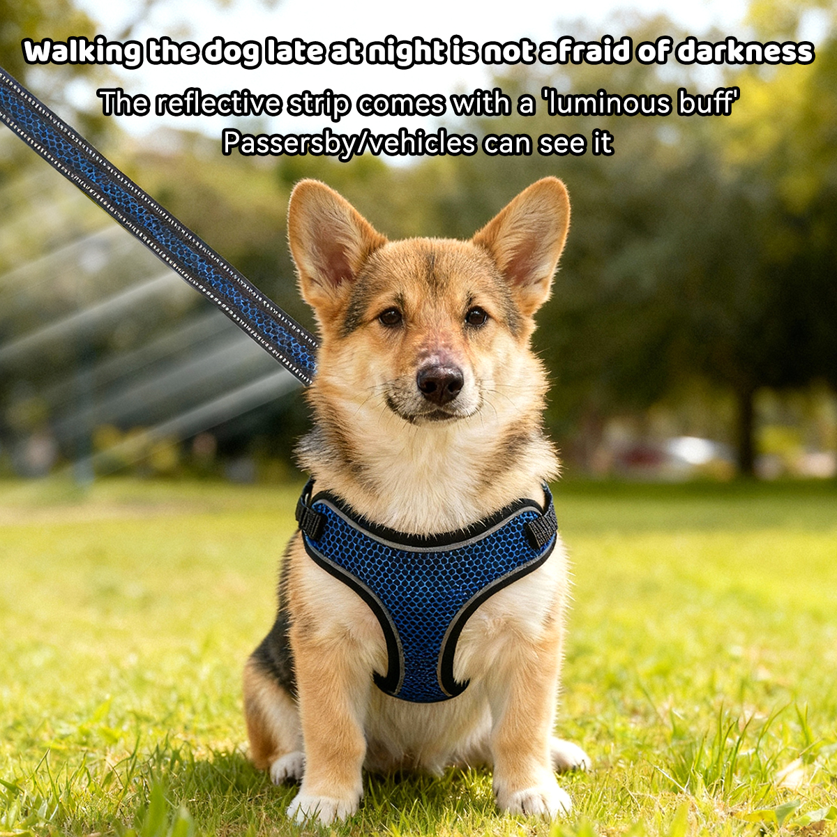 Honeycomb Mesh Dog Harness | 3D Breathable Design | Reflective Strips | Vest-Style Support