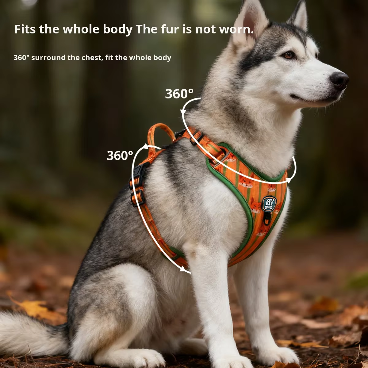 Designer Animal Print Dog Harness | Full Pattern Polyester | 4-Color Options