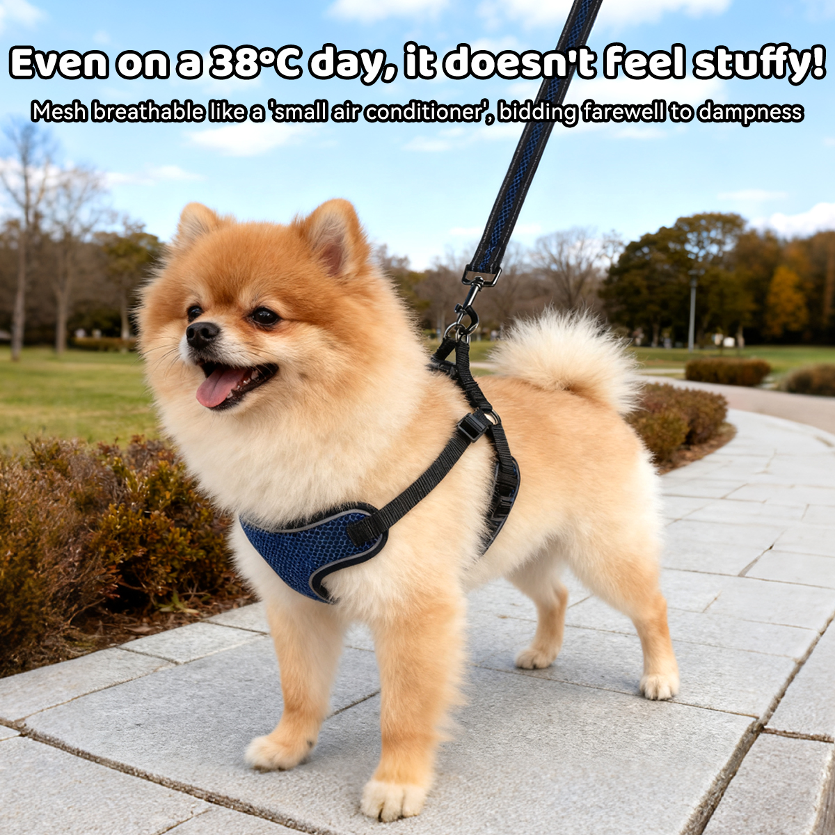 Honeycomb Mesh Dog Harness | 3D Breathable Design | Reflective Strips | Vest-Style Support