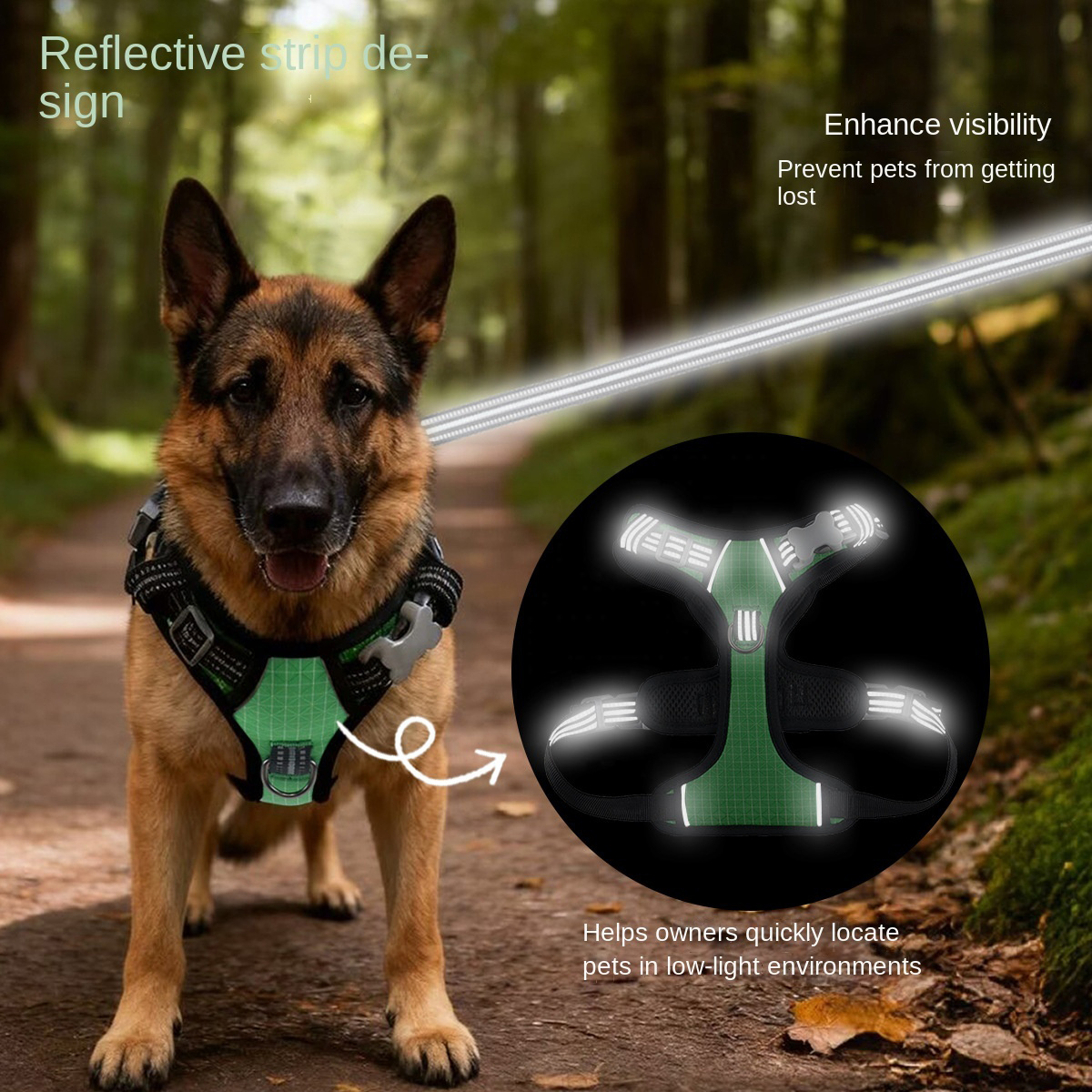 Waterproof Quick-Dry Dog Harness | Color-Blocking Design | Durable & Weatherproof