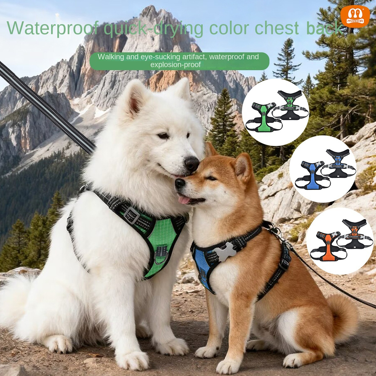Waterproof Quick-Dry Dog Harness | Color-Blocking Design | Durable & Weatherproof