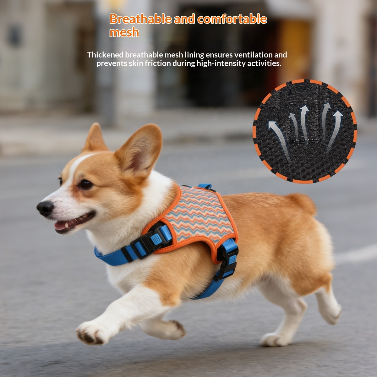 Multi-Print Dog Harness with Full Adjustability | 3 Colors | Breathable Mesh & Polyester Fabric