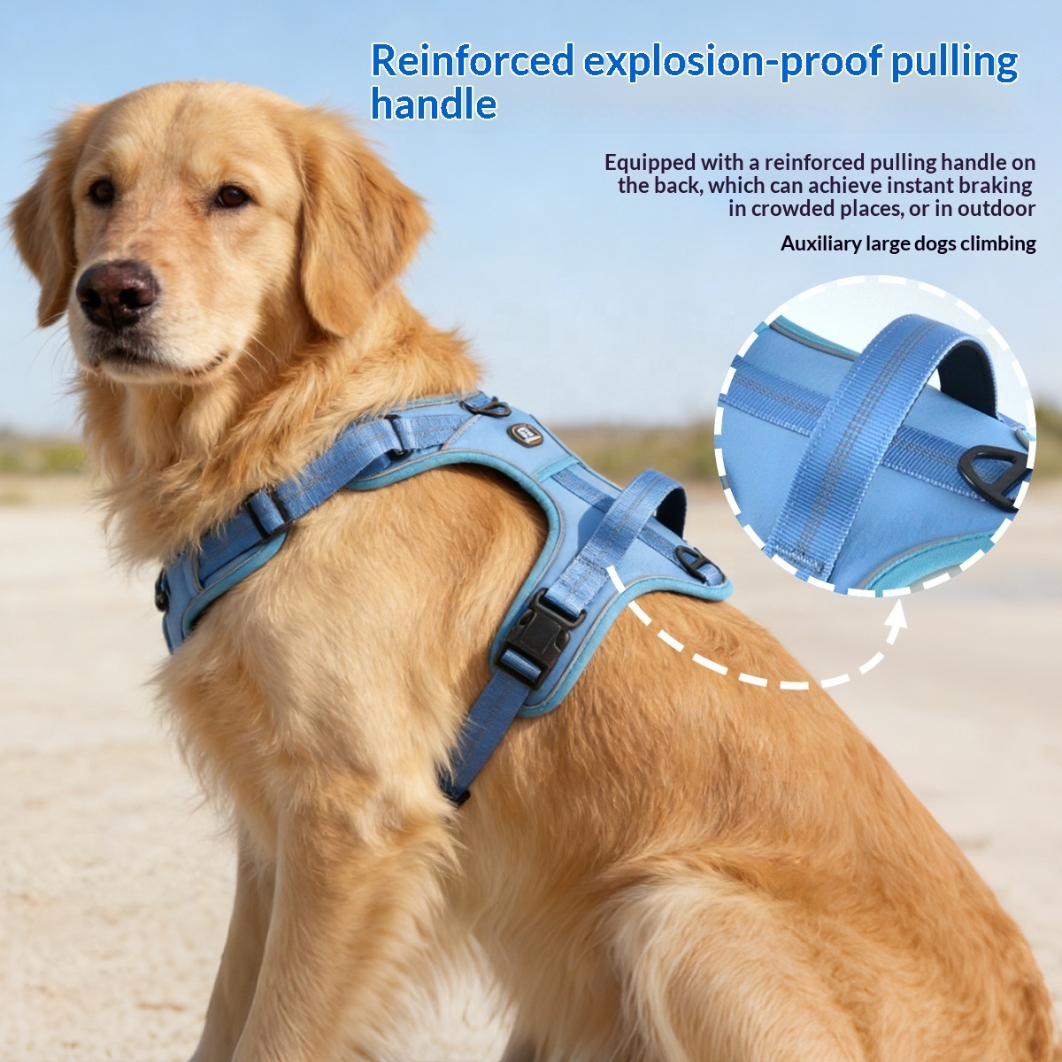 High Saturation Macaron Color Dog Harness for Medium Large Breeds | Anti-Pull & Reflective