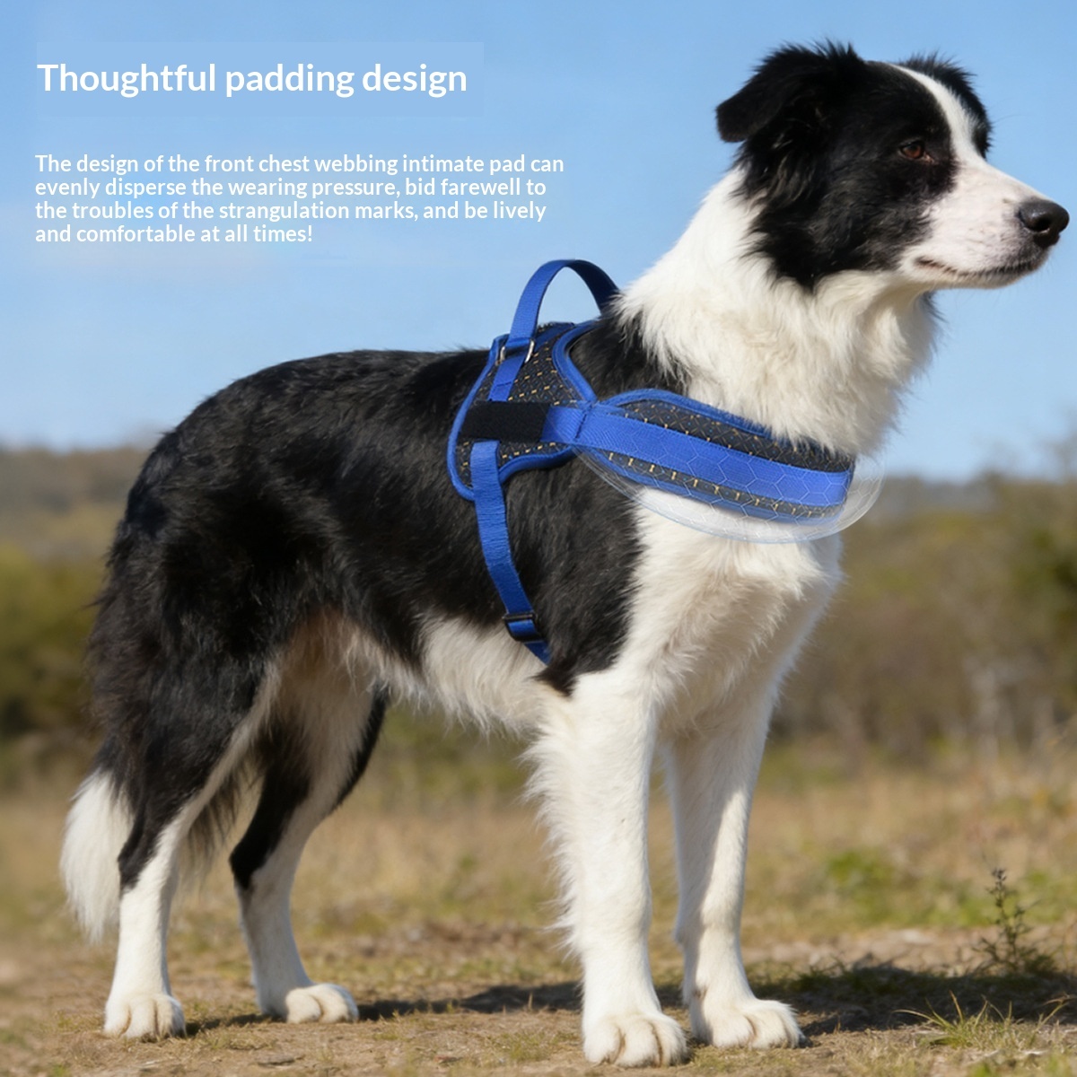Multi-Print Dog Harness with Anti-Pull Handle & DIY Patch | 3 Colors | Neck Padding & Breathable Mesh