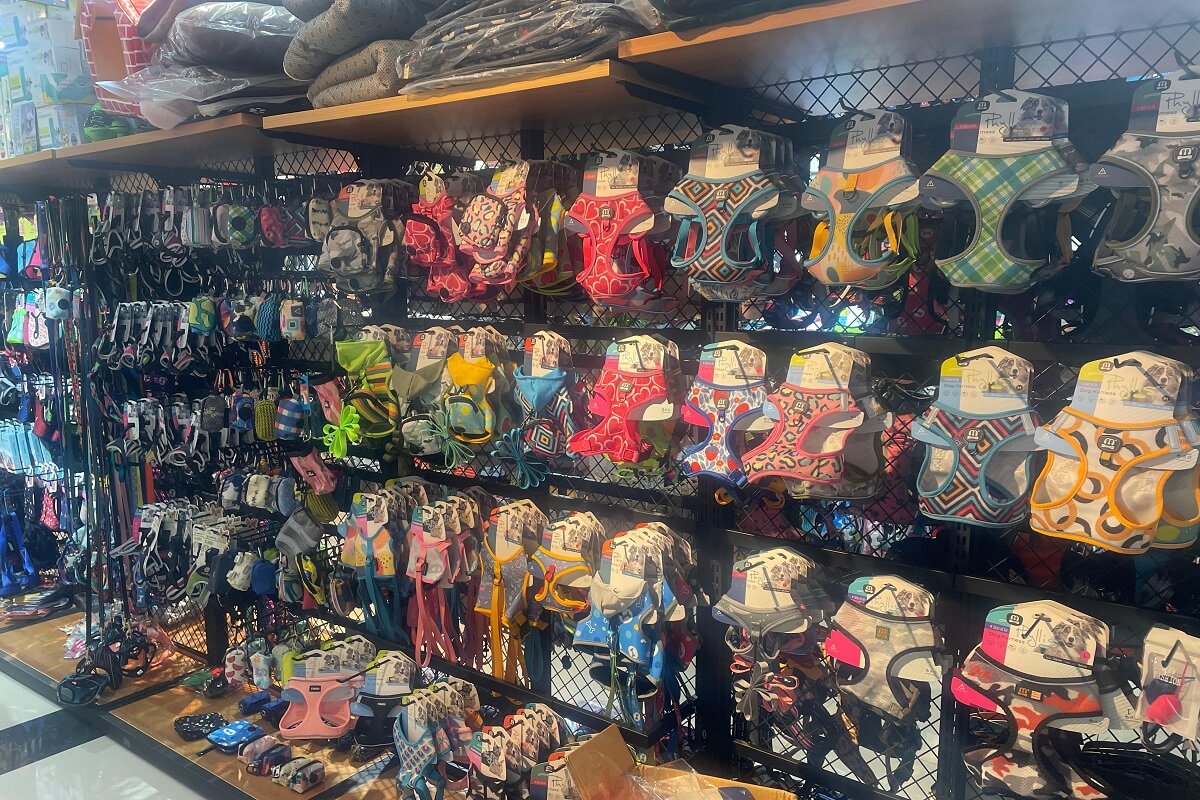 custom dog harness manufacturers