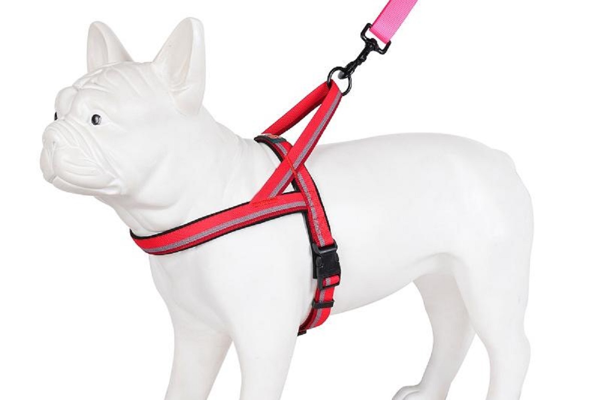easy walk harness