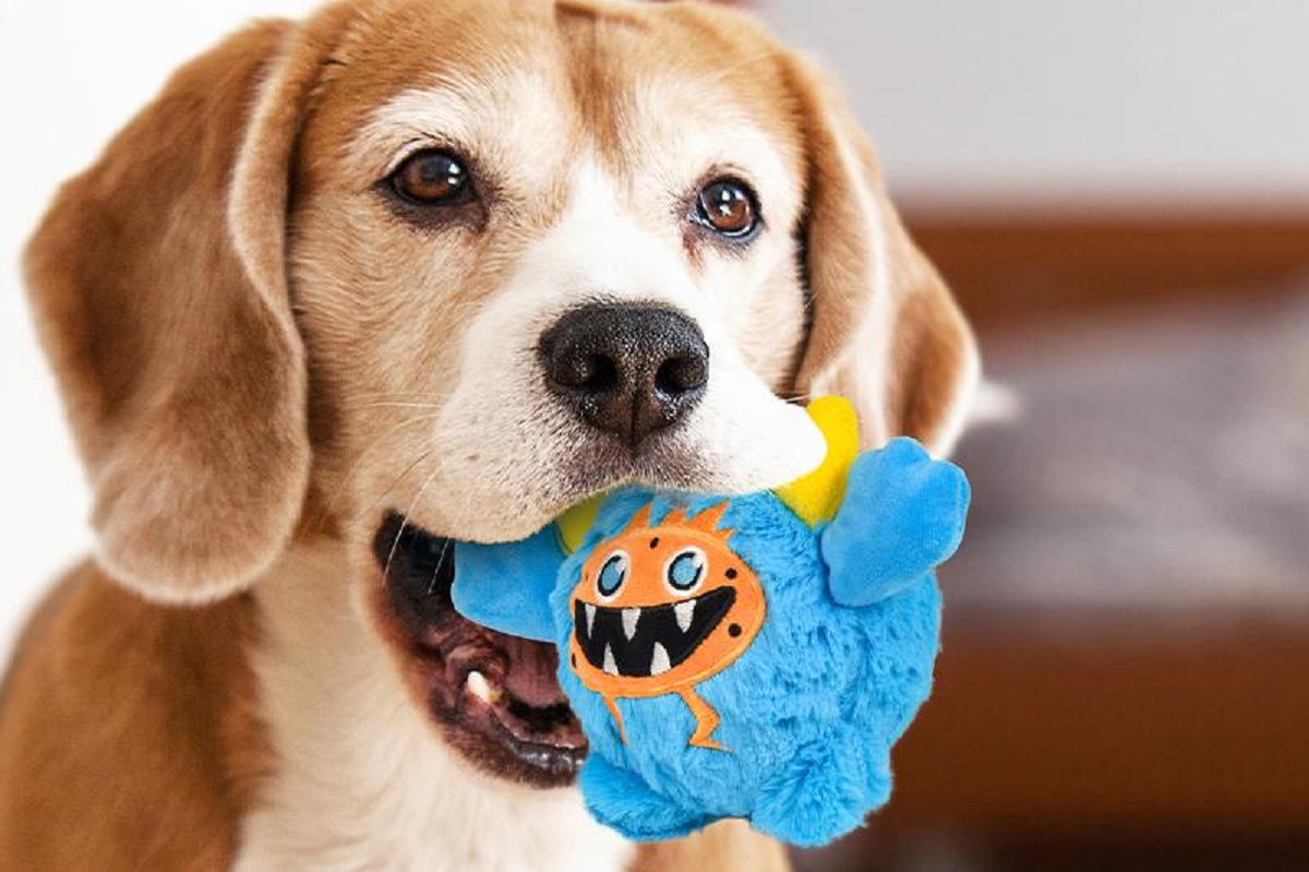 why-do-dogs like-toys