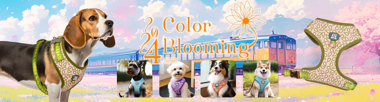 Dog harness manufacturer