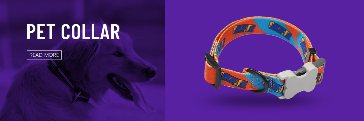 How to Start a Dog Collar Business-1