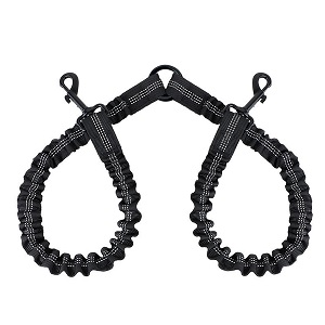 two dog leash
