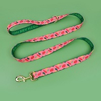 standard dog leash