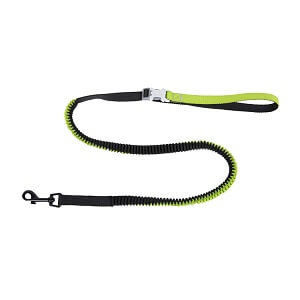 Bungee Dog Leash