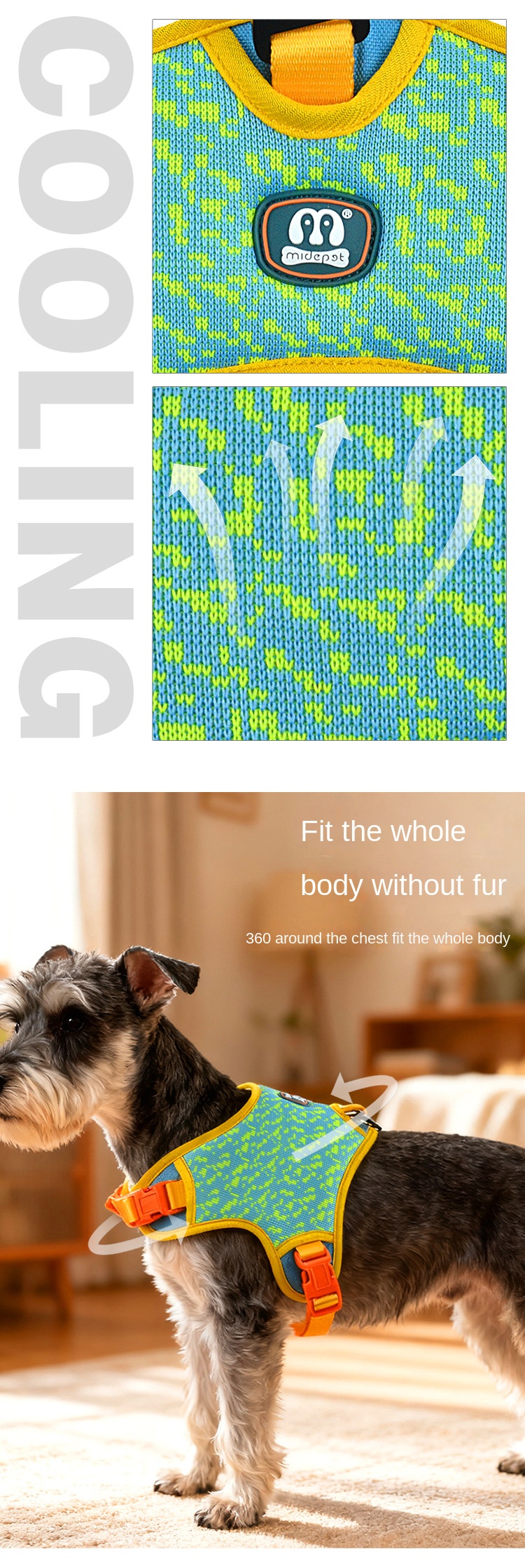 photobank (4) photobank (4)