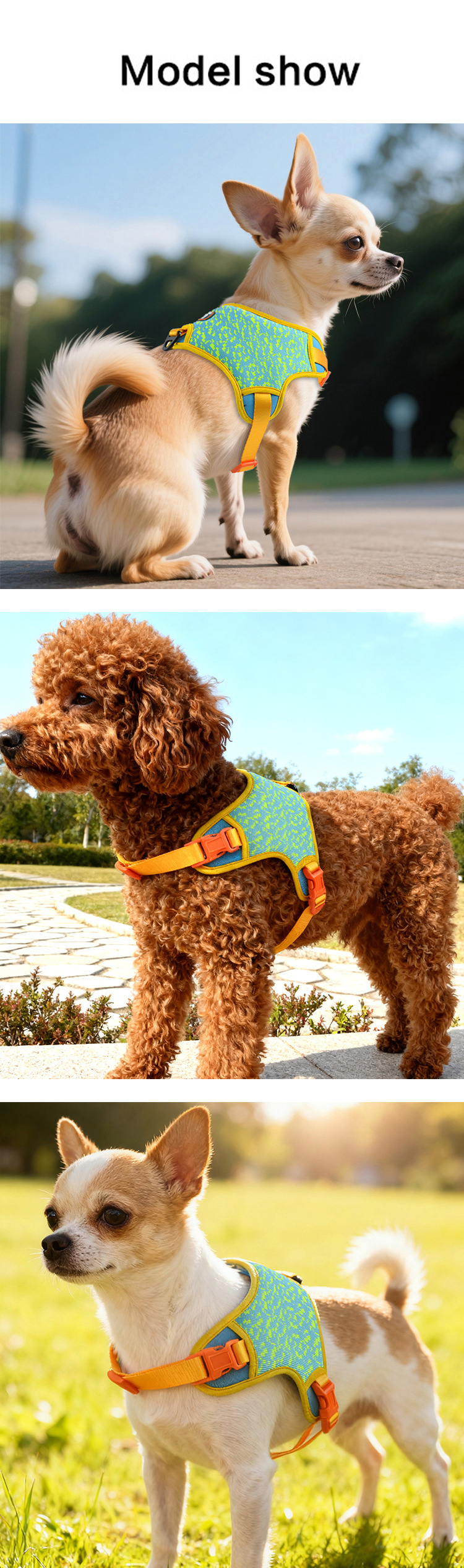 photobank (6) photobank (6)