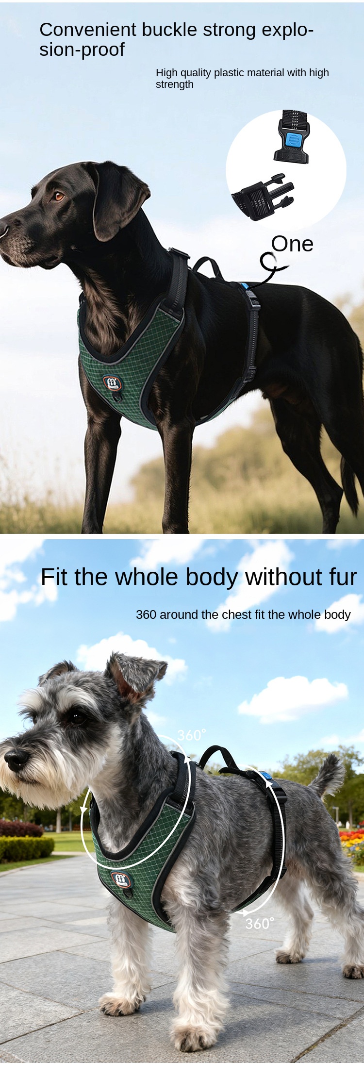 photobank (1) photobank (1)