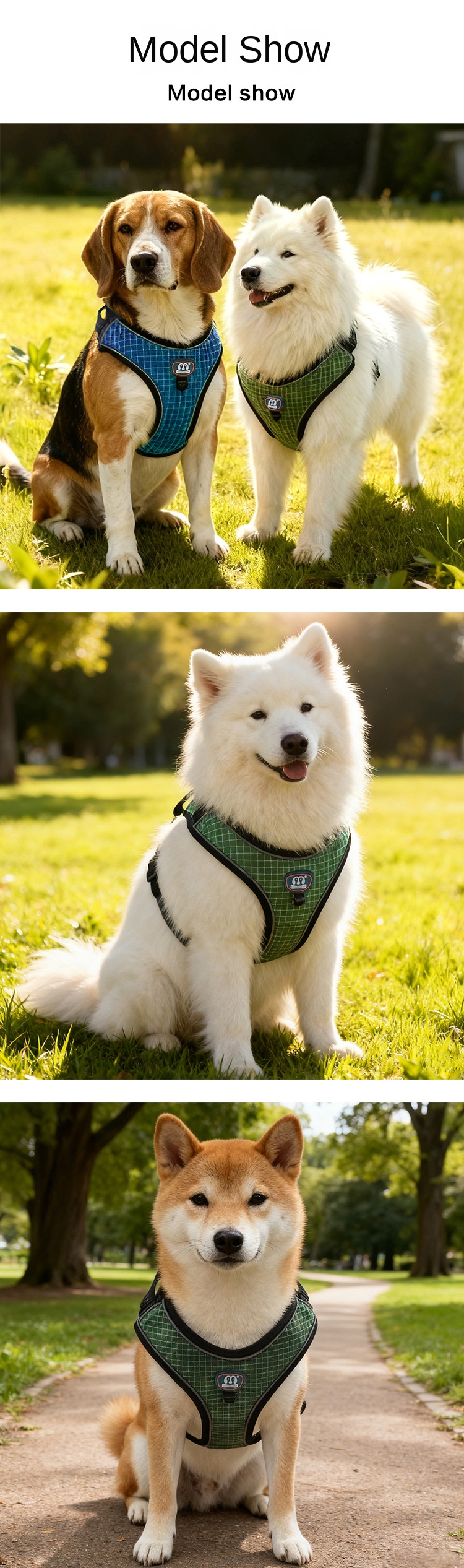 photobank (3) photobank (3)