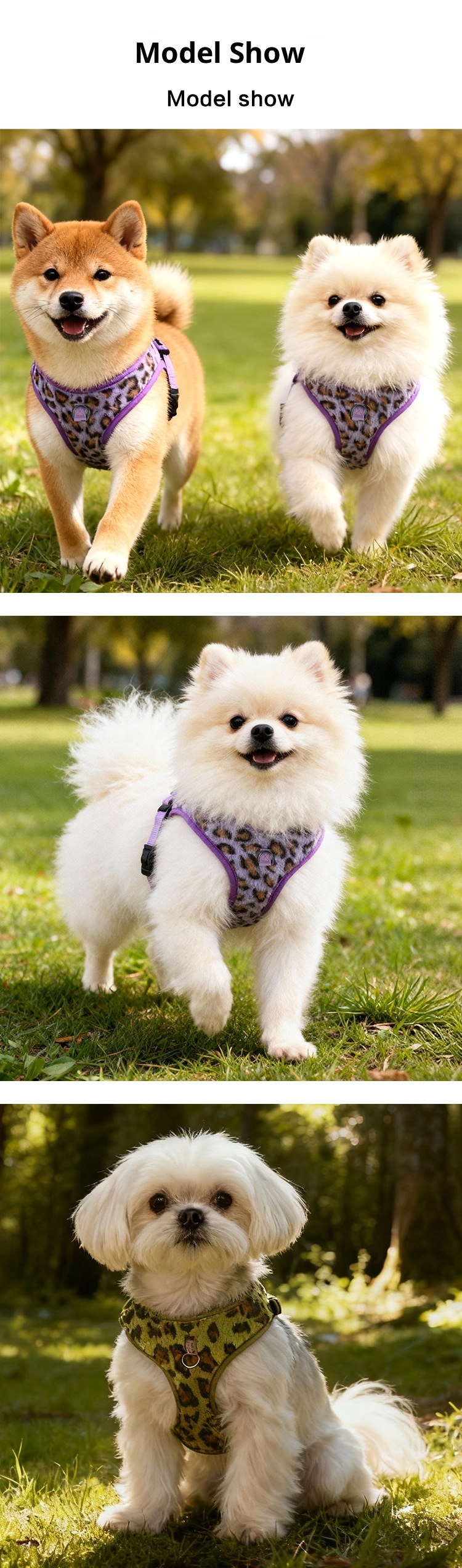 photobank (3) photobank (3)