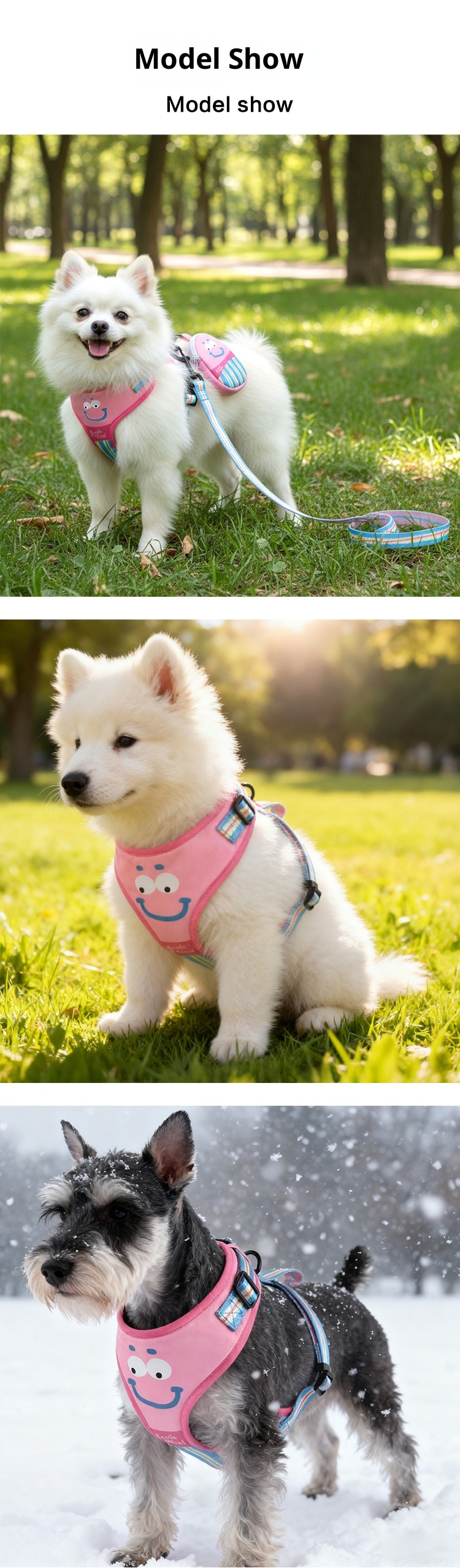 photobank (4) photobank (4)