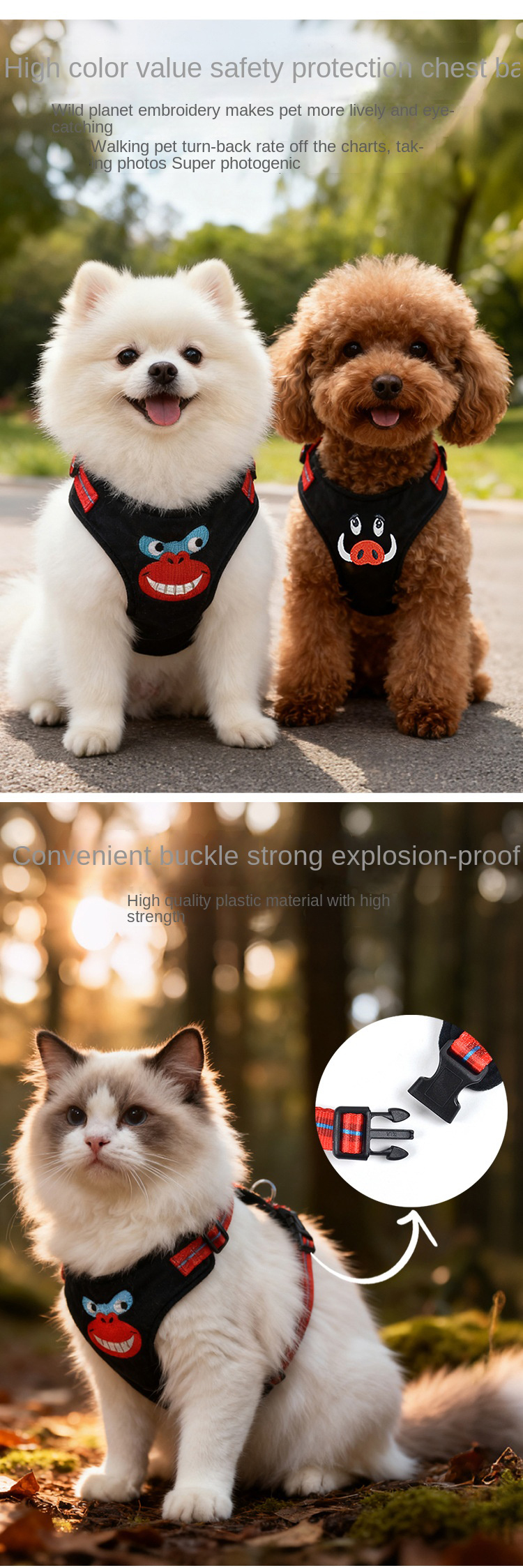 photobank (1) photobank (1)