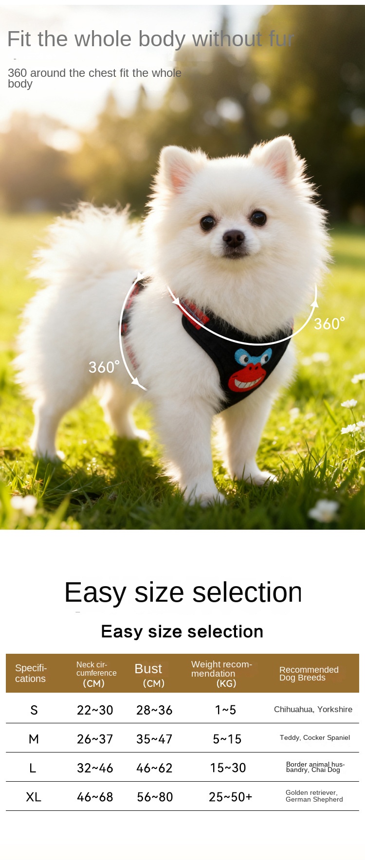 photobank (2) photobank (2)