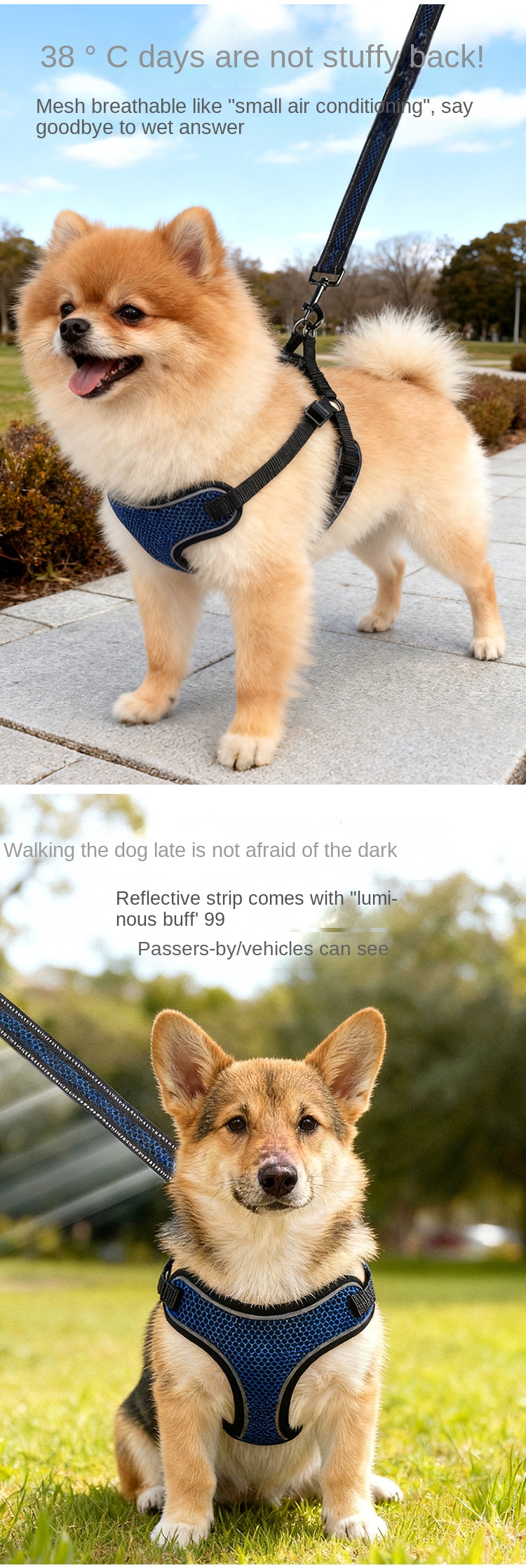 photobank (1) photobank (1)