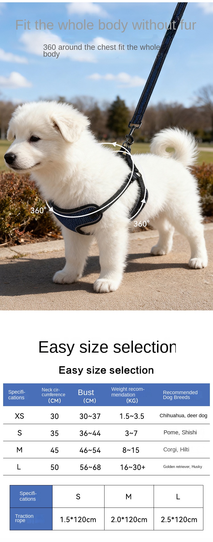 photobank (2) photobank (2)