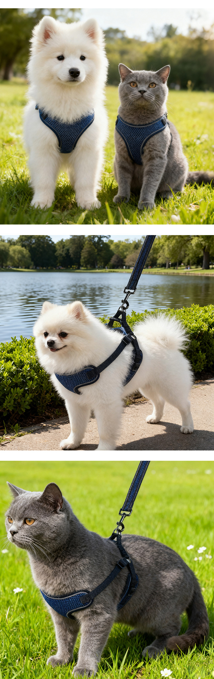 photobank (4) photobank (4)